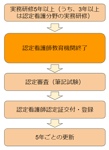 認定看護師　資格取得の流れ