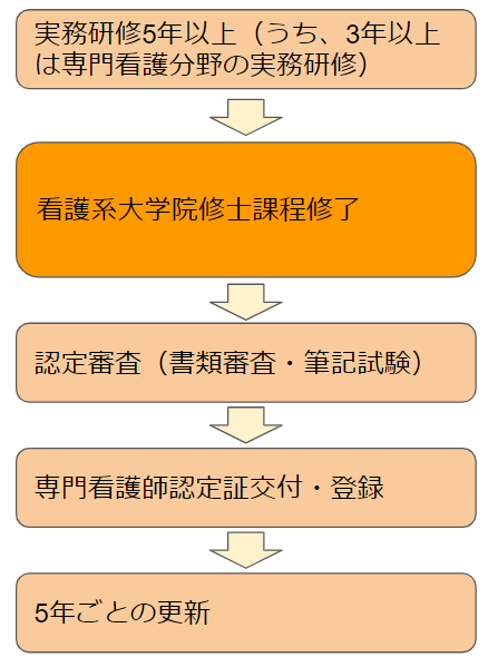 専門看護師　資格取得の流れ