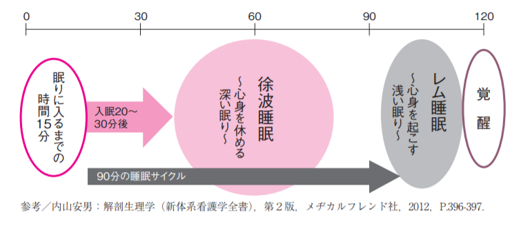 睡眠　サイクル