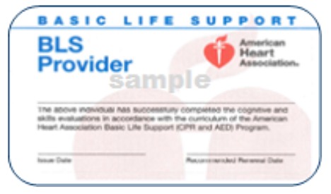 BLS Provider