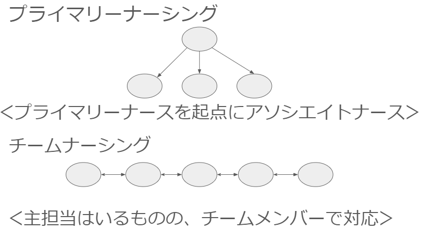 プライマリーナースリーダー